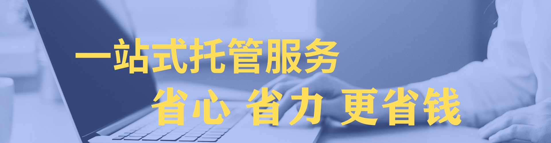 桐柏竞价排名