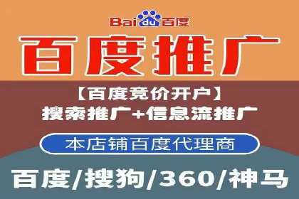 SEM搜索引擎优化：成功案例解析